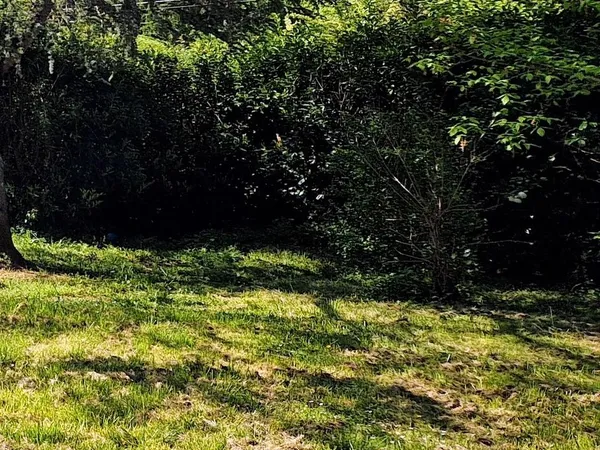 Terrain 3 m² SAINT MARTIN DE LAYE
