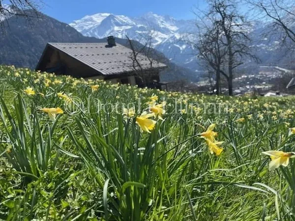 Servoz - Terrain ensoleillé avec vue sur le Mont-Blanc