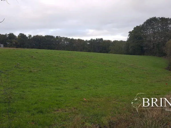 Terrain 427 m²