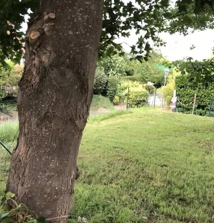 Terrain 650 m²