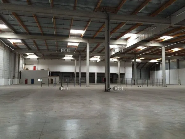 Entrepôt 7014 m²