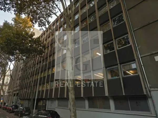 Local professionnel 201 m²