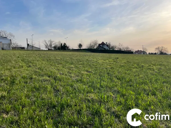 Terrain en individuel 1699 m²
