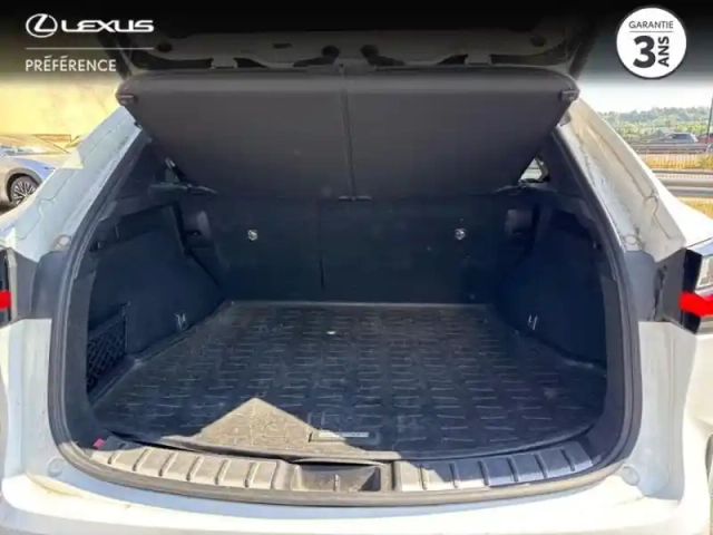 Lexus Nx 450h+ f sport executive 4wd my24 — photo 10