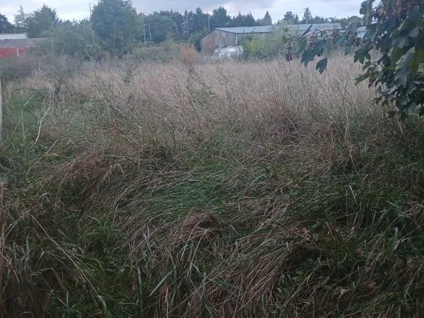 Terrain zone d'activité