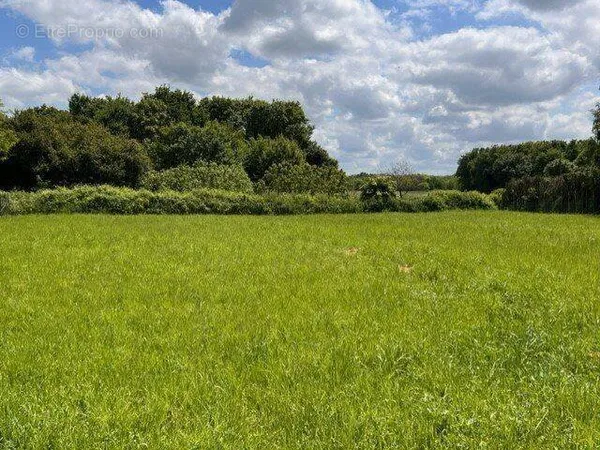 Terrain à bâtir de 3167 m2 au prix de 37400 € à PARTHENAY (79)