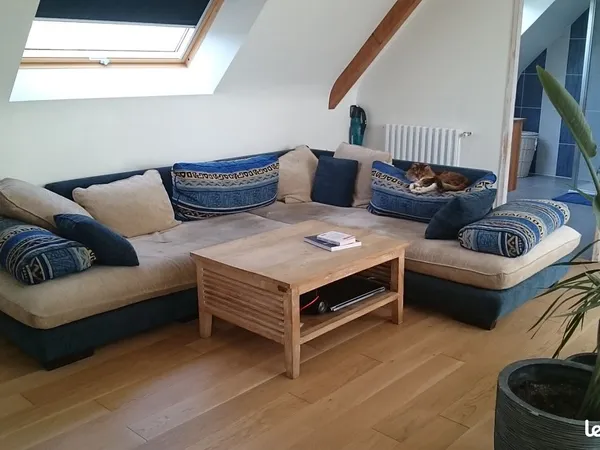Chambre dans coloc