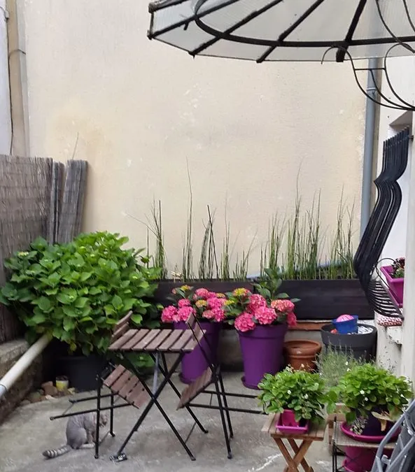 Photo 1