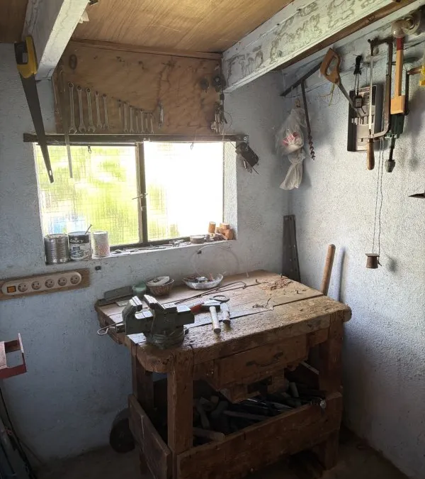 Photo 6