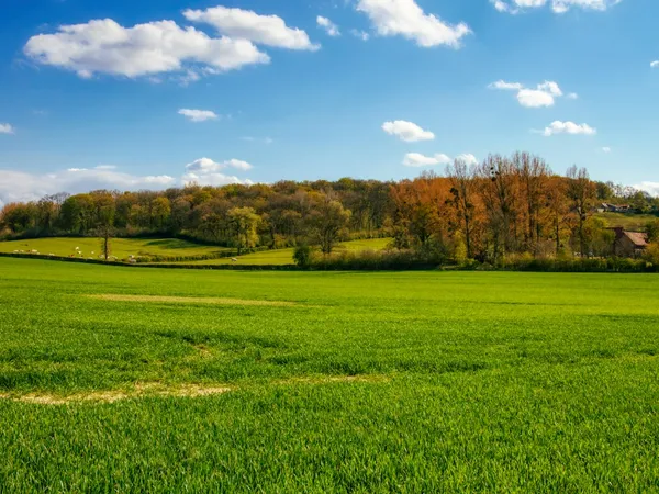 Habiter en ville ou à la campagne : comment trancher selon son projet de vie