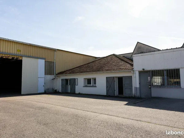 Local d'activité 619 m²
