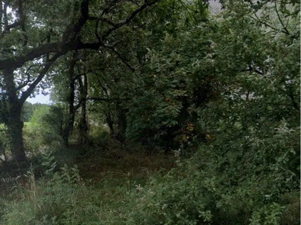 Terrain de loisir Saint Mathurin