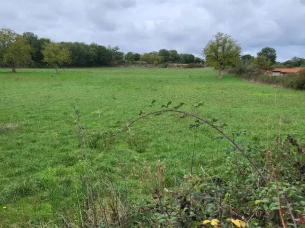 Terrain 2500 m²