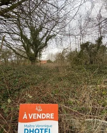 Terrain 830 m²
