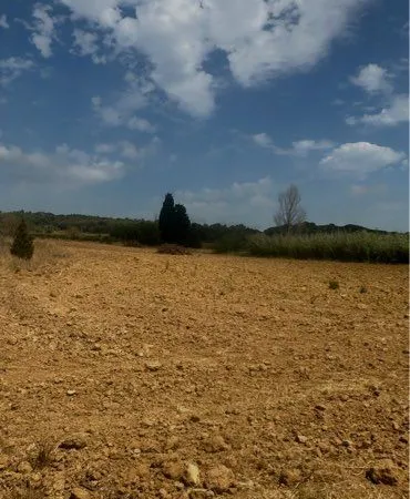 Vend terrain agricole