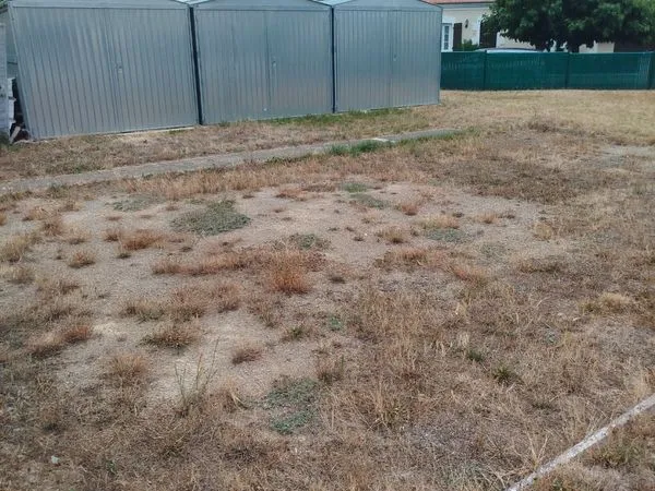 Terrain constructible