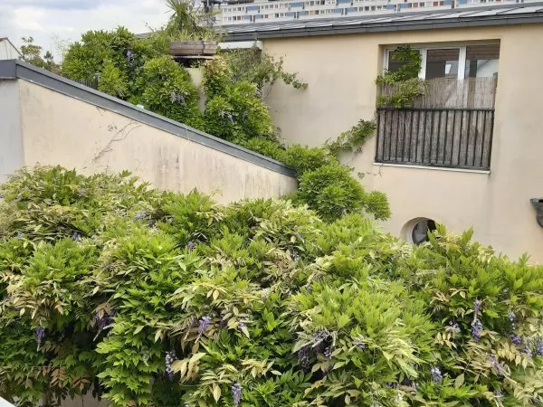 Loue Studio rue de Silly Boulogne-Billancourt (92) - 16m²