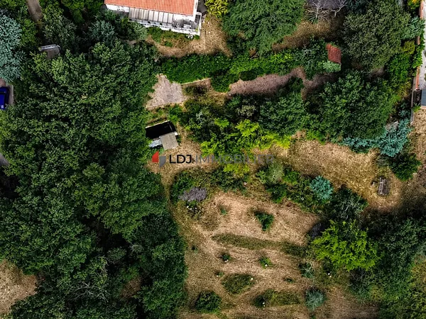 Villa 4 faces de plain-pied sur une parcelle de 4500 m²