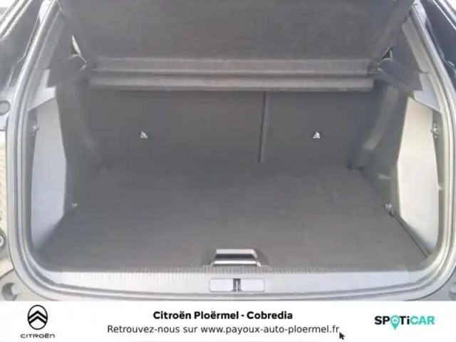 Peugeot 2008 1.2 100ch s&amp;s allure — photo 6