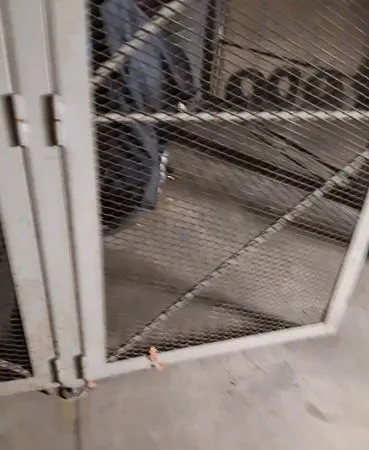 Box garage