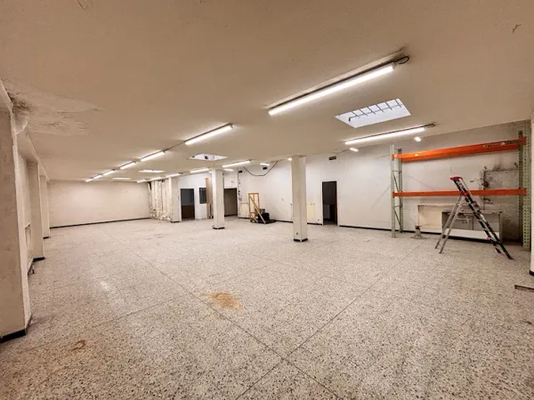 Local 223 m²