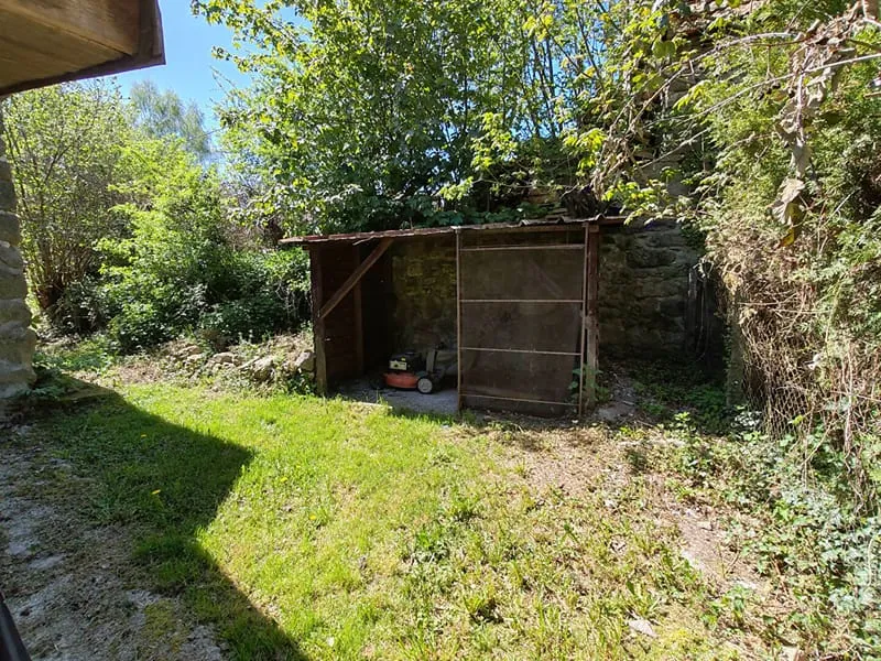Photo 11