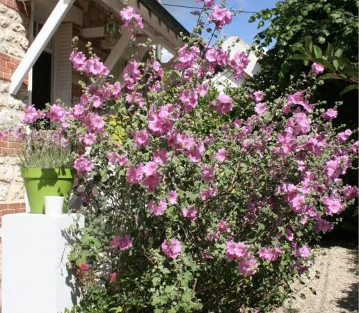 Maison 6 pièces 218 m²