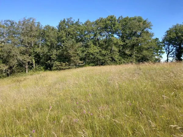 Terrain constructible viabilisé ? 3 000 m² ? Le Vigan-en-Que