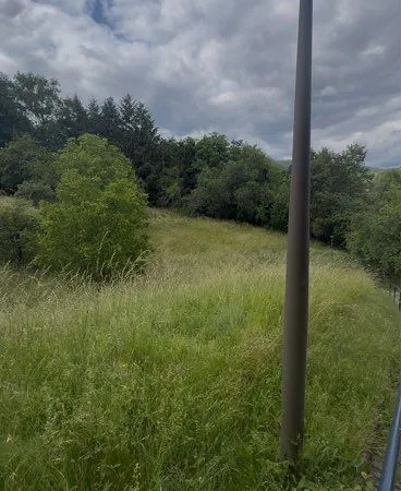 Terrain de 20 ares à louer - Niederbronn-les-Bains - proche Casino