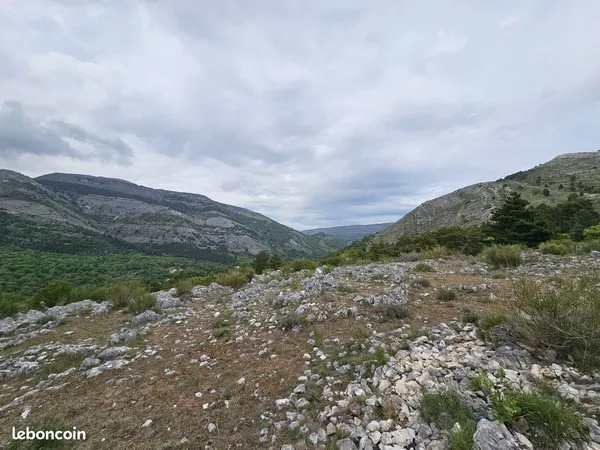 Vente | Terrain | 26410 m² | SAINT VALLIER DE THIEY