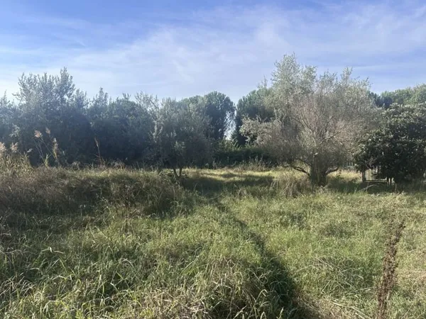 Terrain 880 m²