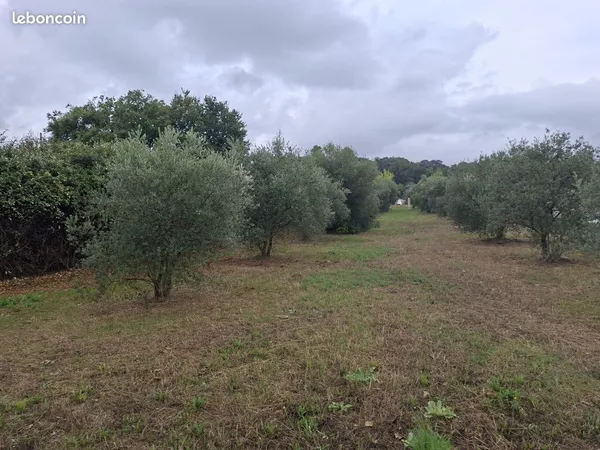 Terrain à bâtir de 500 m² à LA MOTTE-D'AIGUES (84)