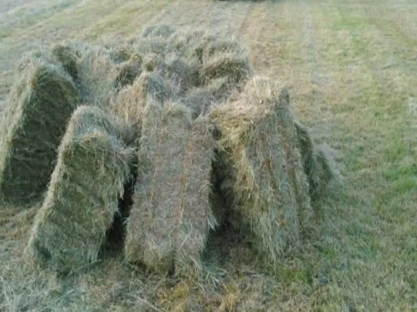 Terres agricoles