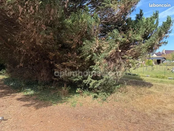 Terrain 7 000 m² Warhem