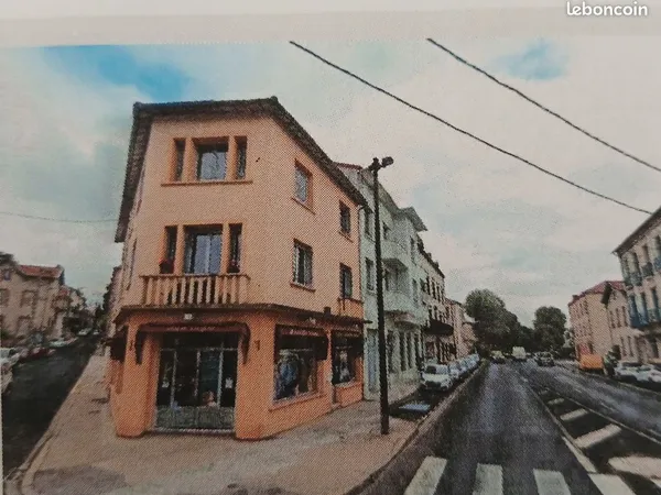 Immeuble de rapport 12 pièces 265 m²