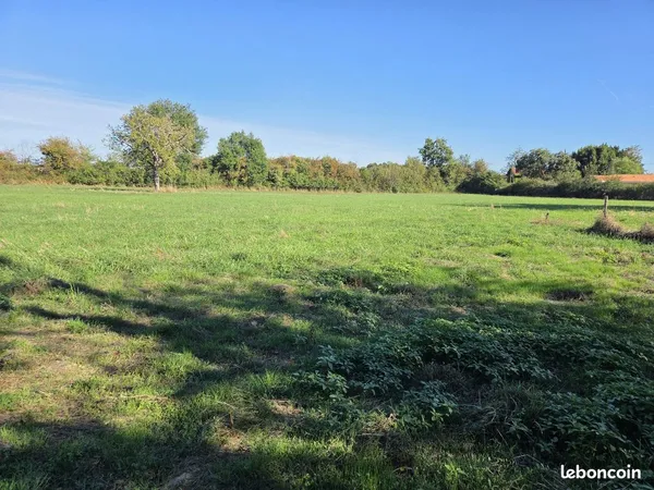 Terrain 945 m² Tercé