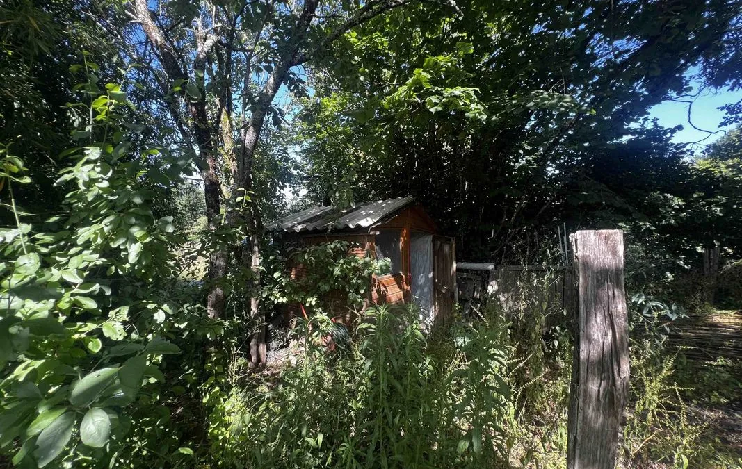 Photo 19