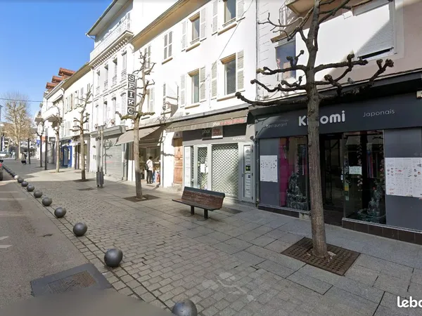 Haut rue Carnot locaux commerciaux ou professionnels surface totale habitable 52m2 libres d'occupant