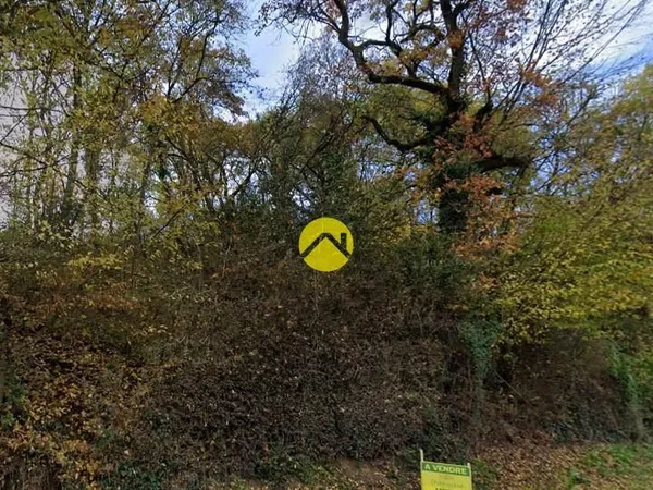 Terrain boisé