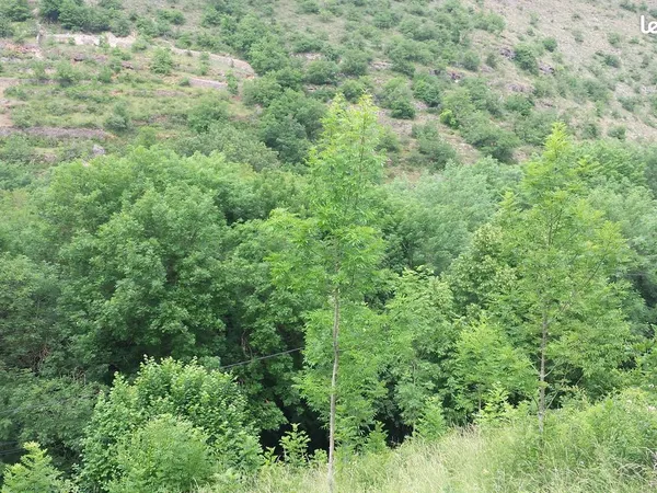Terrain constructible 1650m2 proche Millau