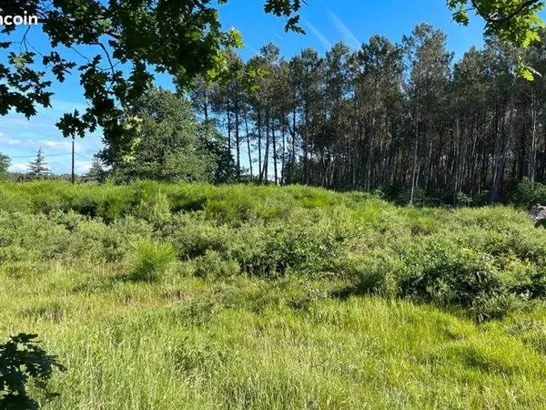 Terrain 1 796 m² Lesperon