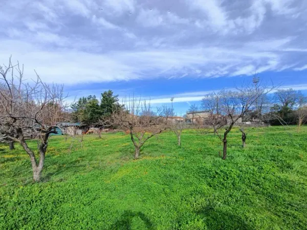 Terrain 512 m²