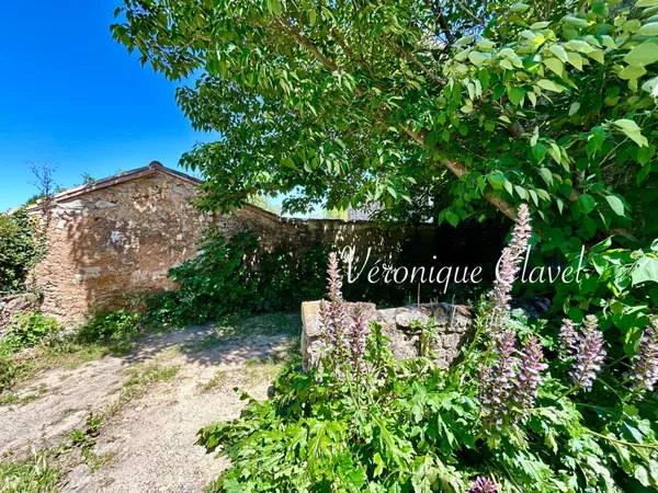 Maison de village du XIX sans vis à vis avec jardin ombragé de 39m2