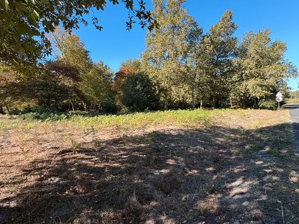 🌳 À VENDRE À LA BRÈDE - BEAU TERRAIN BOISÉ D'ENVIRON 4 400 m²