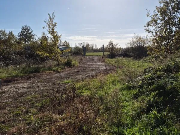 Terrain agricole 1ha arboré, puit sera tondu pour la vente
