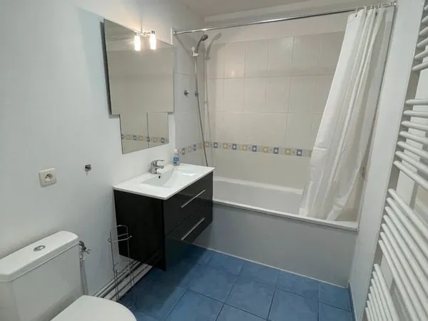 Appartement 2 pièces meublé rénové, 41 m2 - Strasbourg