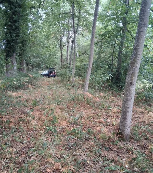 Photo 2
