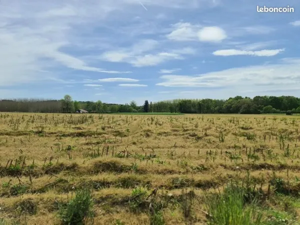 Vente | Terrain constructible | 595 m² | Sainte-Marie-de-Gosse | Expo Sud
