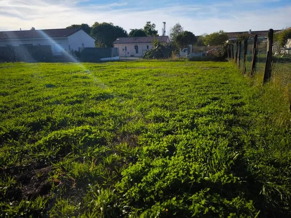 Couffouleux centre ville beau terrain carré au calme de 500 m2 en fonds d'impasse