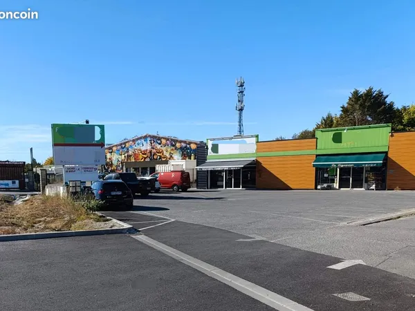 LOCAL COMMERCIAL 209m2